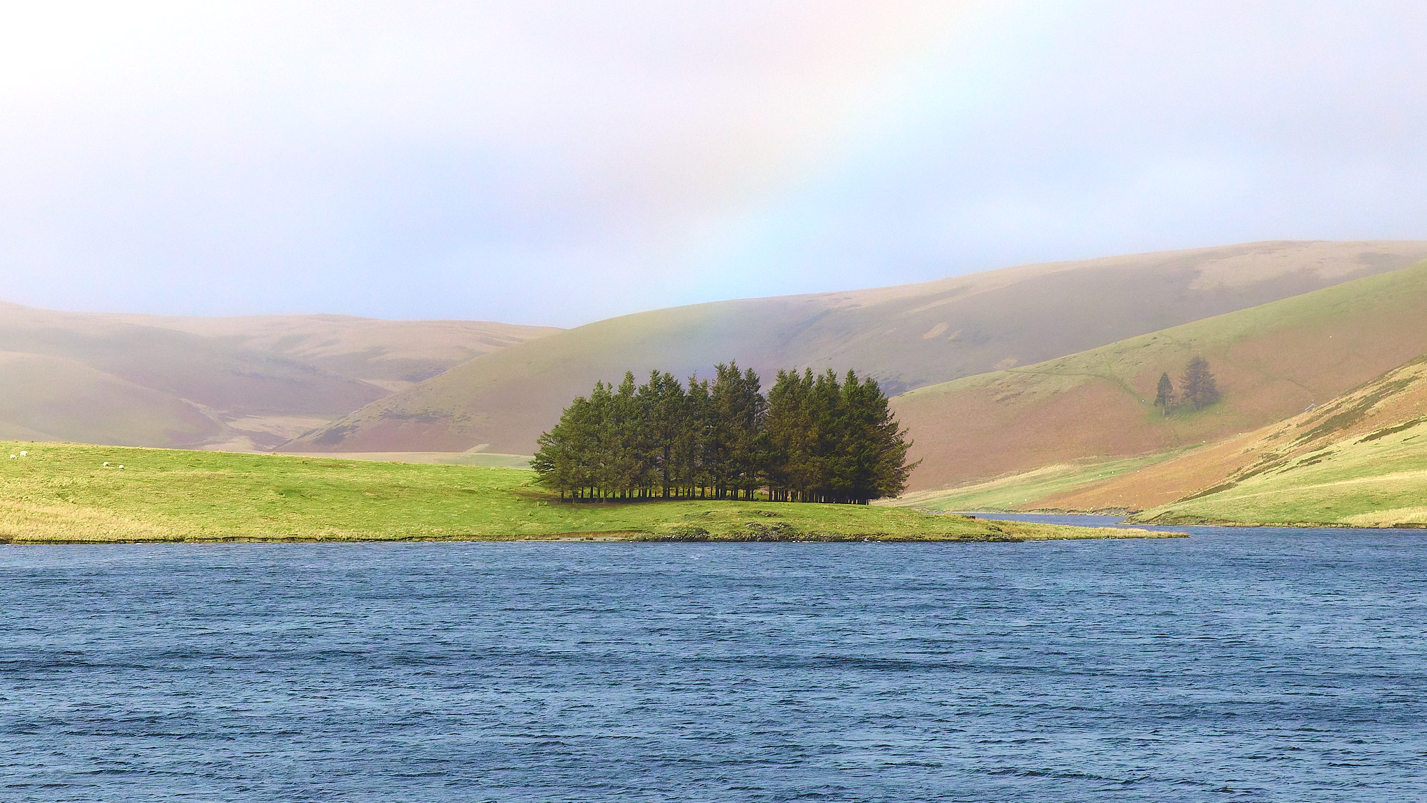 Liam Goodyear Photography